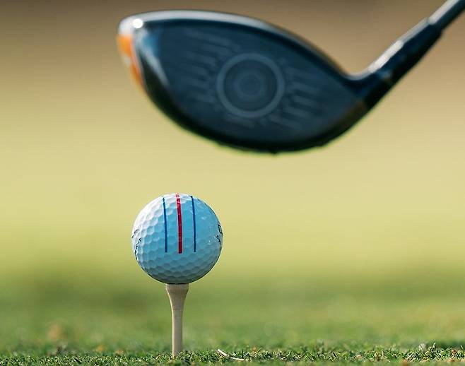 기사 카드 이미지